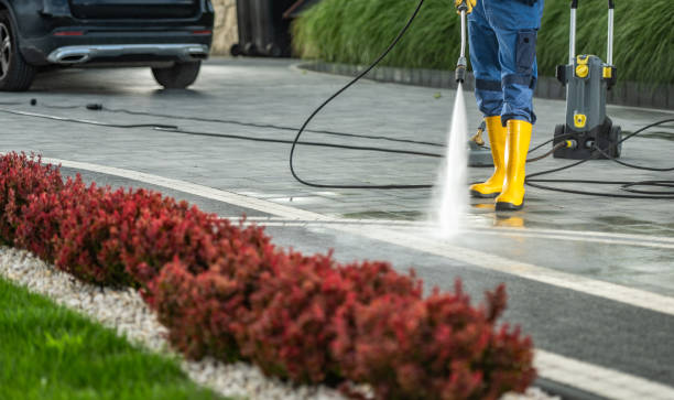 Trusted Puhi, HI Pressure washing Experts